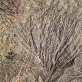 Камуфляжная лента многоразовая McNett Mossy Oak Brush
