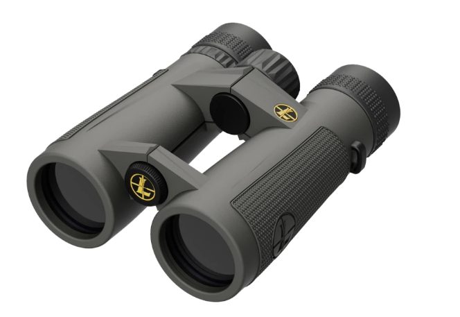 Бинокль Leupold BX-5 SANTIAM HD 10x50 shadow gray